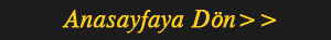 Anasayfa